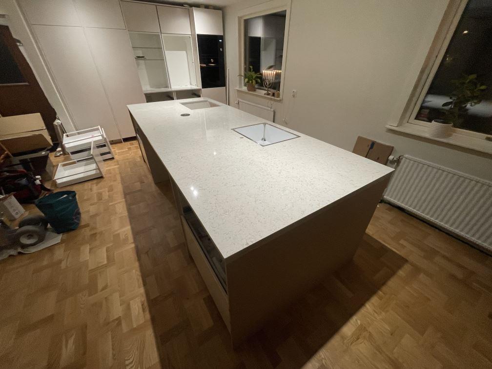 Wild Yucca i Karlstad, montering 5 jan 2026, bild 1