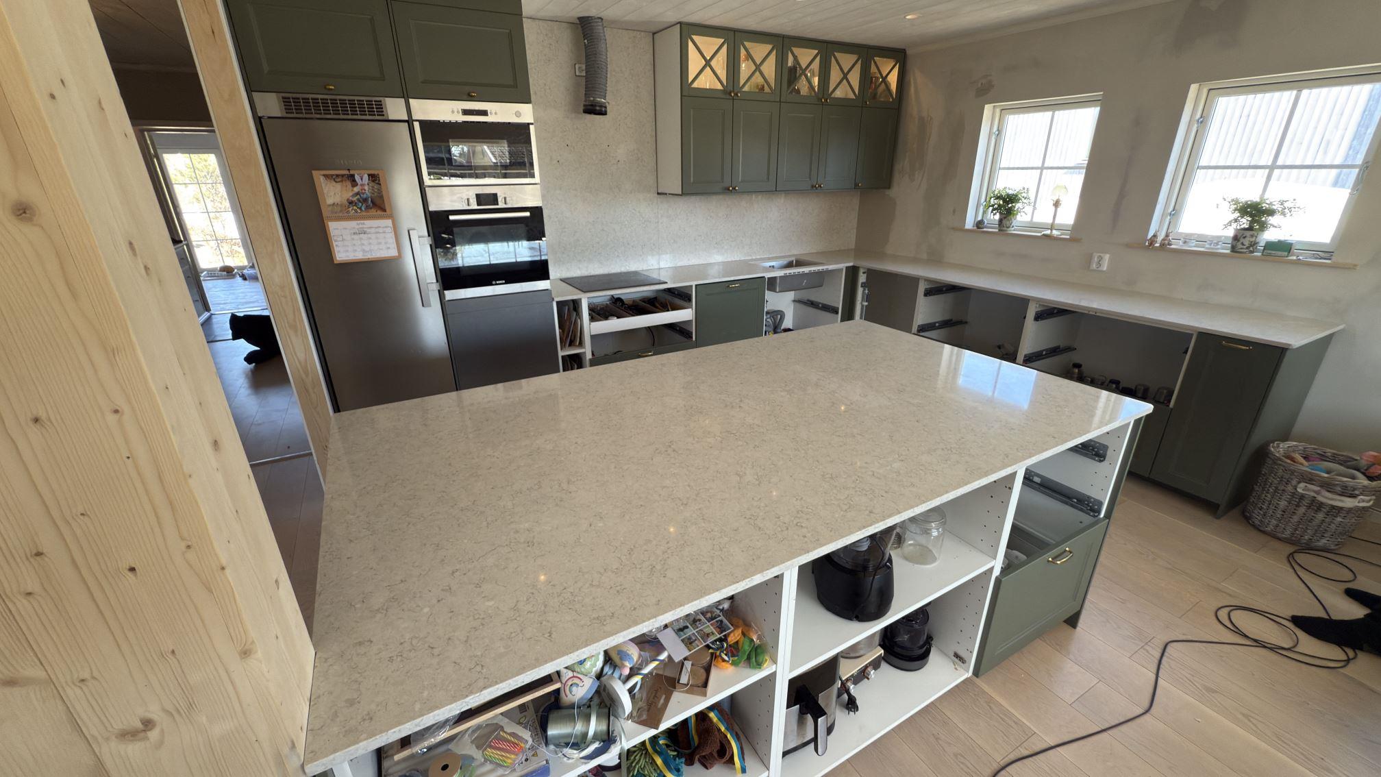 Wild Yucca i Nacka, montering 12 apr 2026, bild 1