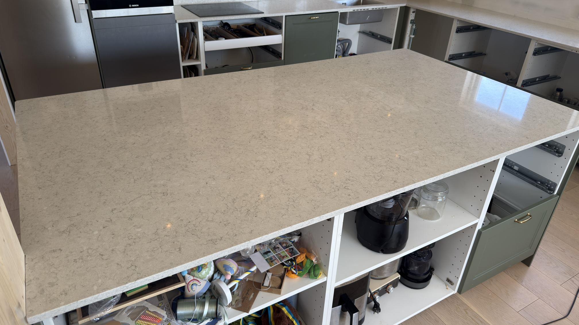 Wild Yucca i Nacka, montering 12 apr 2026, bild 2