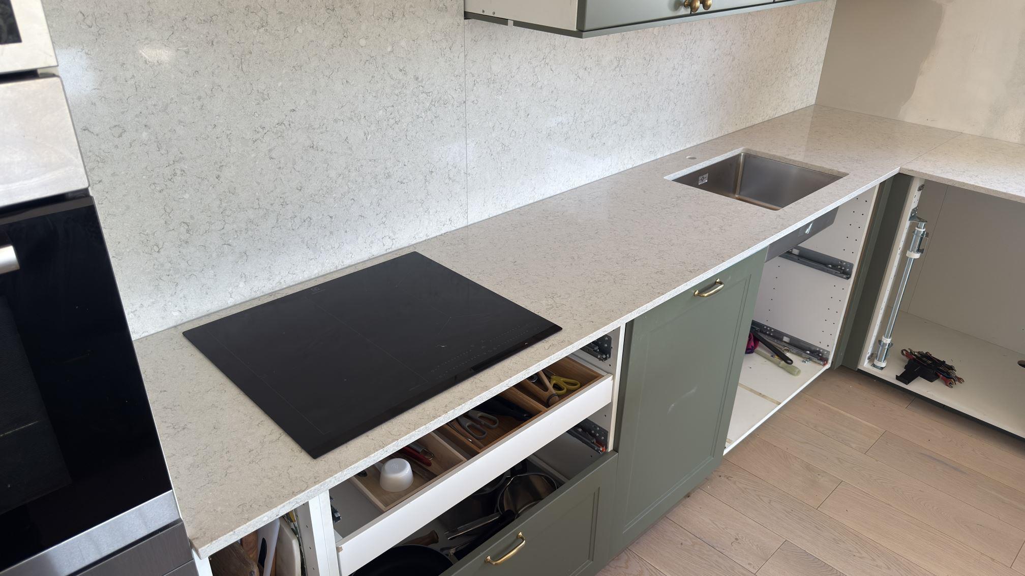 Wild Yucca i Nacka, montering 12 apr 2026, bild 4