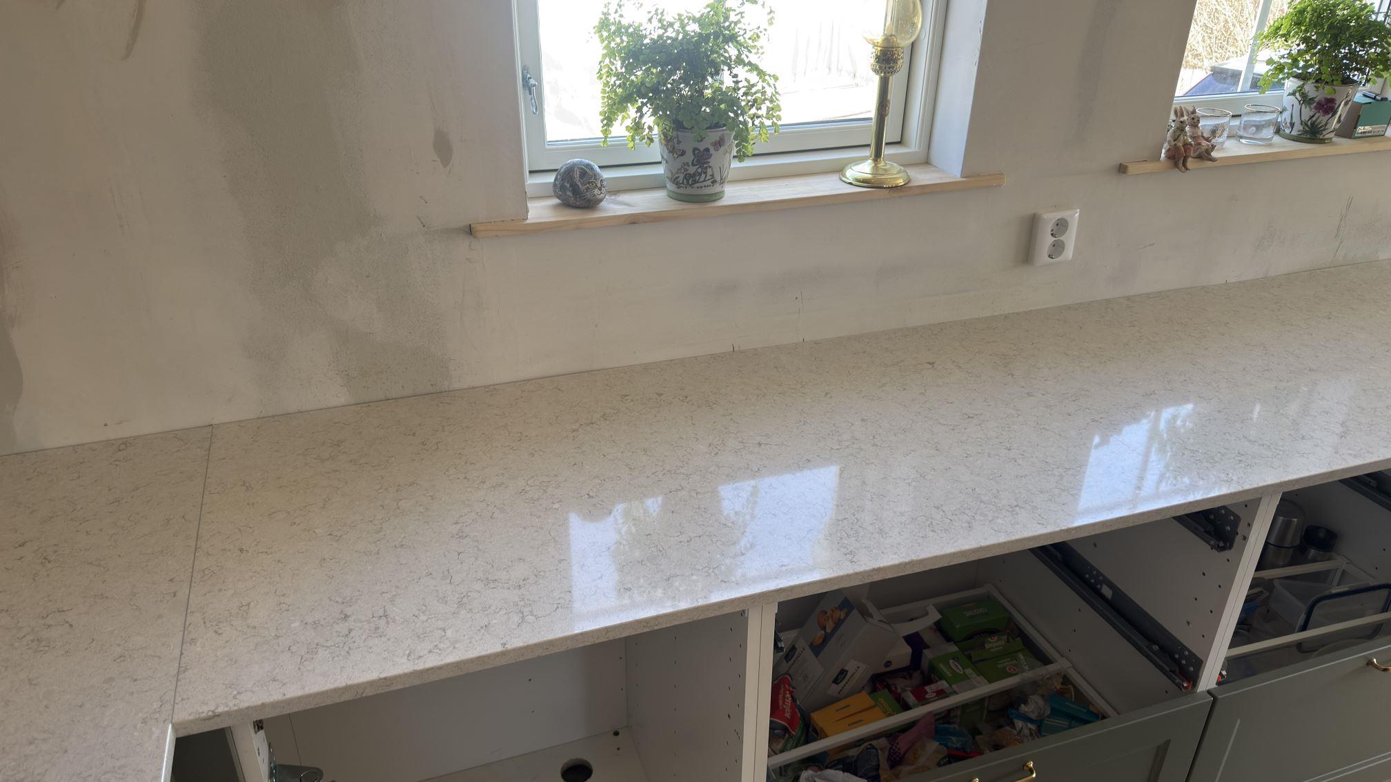 Wild Yucca i Nacka, montering 12 apr 2026, bild 5